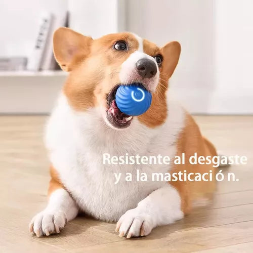 Pelota Interactiva para Mascotas con Luz LED 🌟🐾